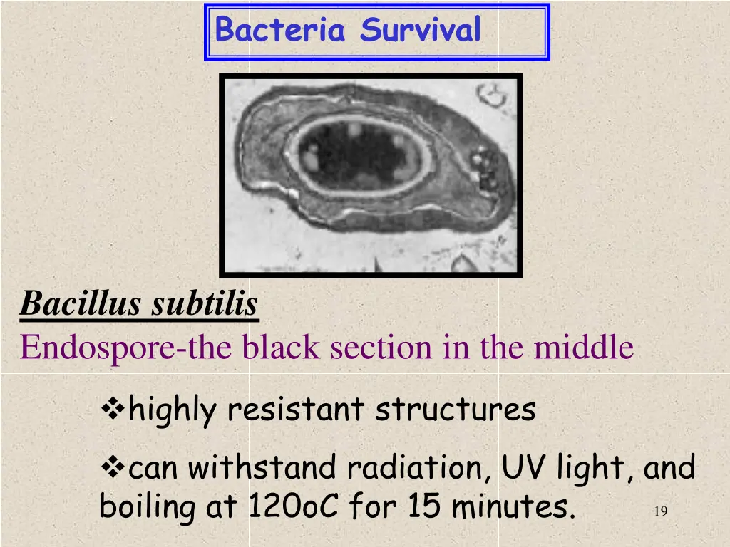 bacteria survival 1