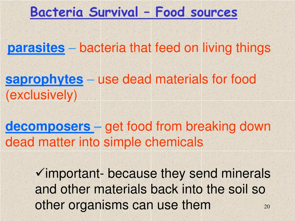 bacteria survival food sources