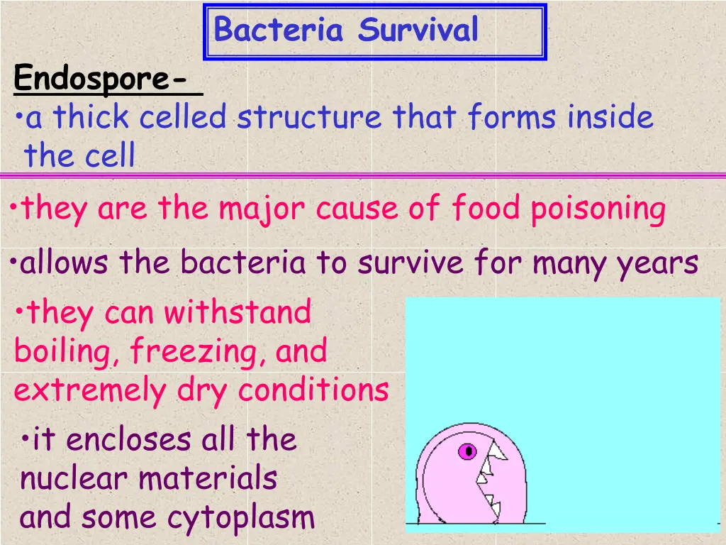 bacteria survival