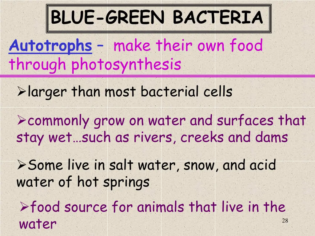 blue green bacteria autotrophs make their