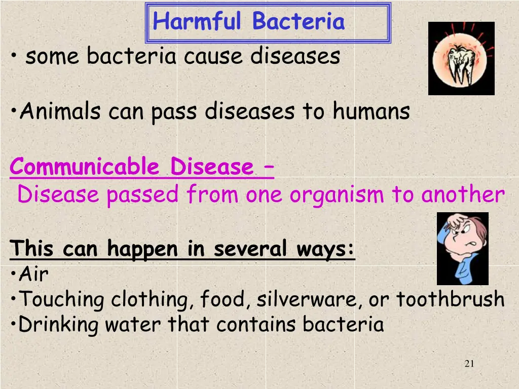 harmful bacteria