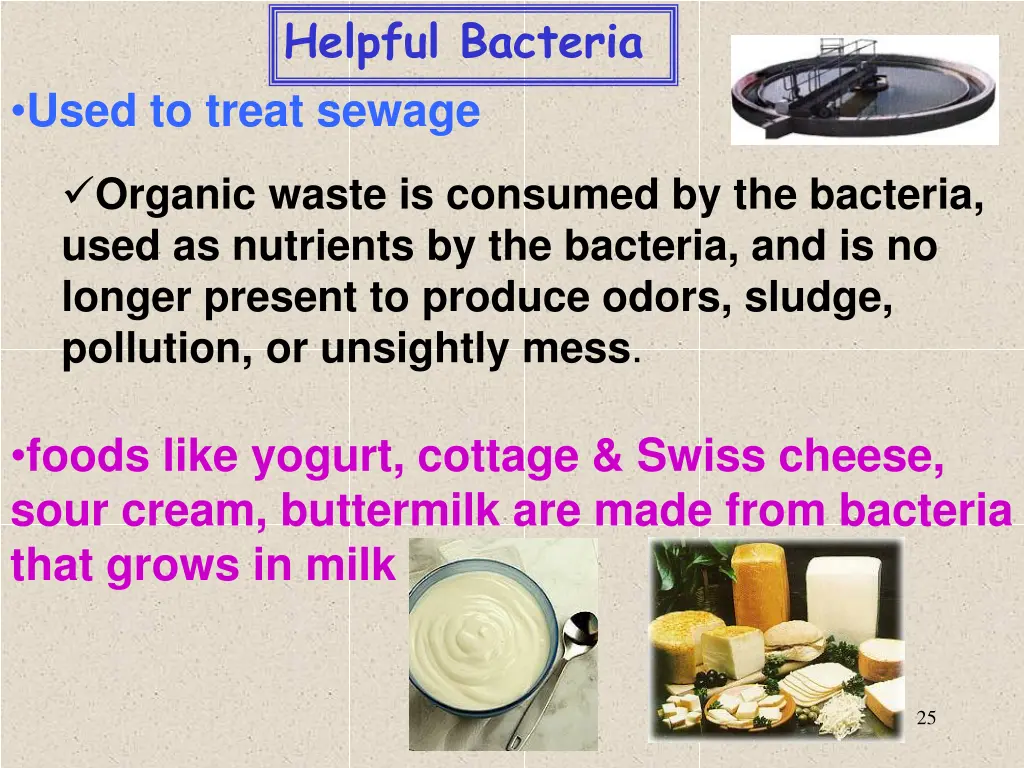 helpful bacteria 2