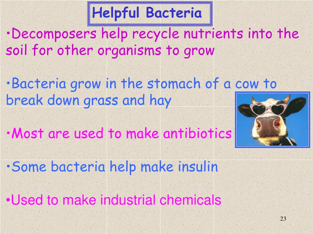 helpful bacteria