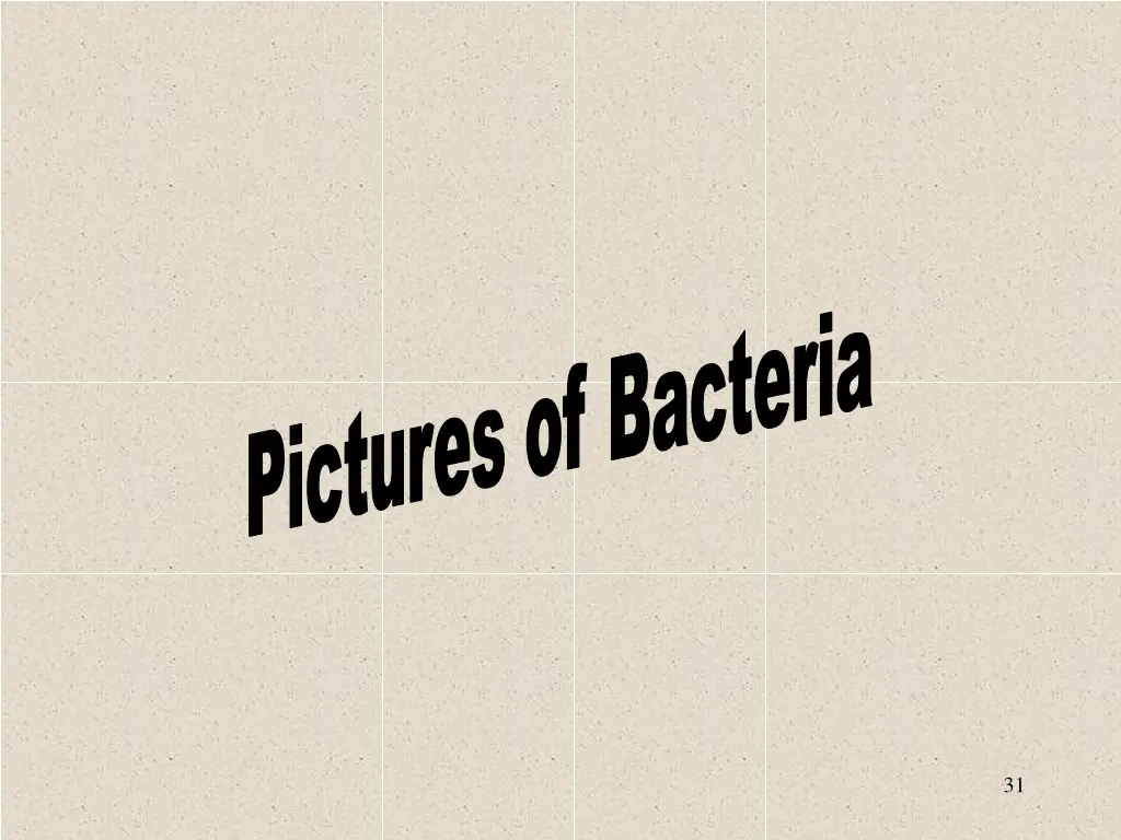 pictures of bacteria