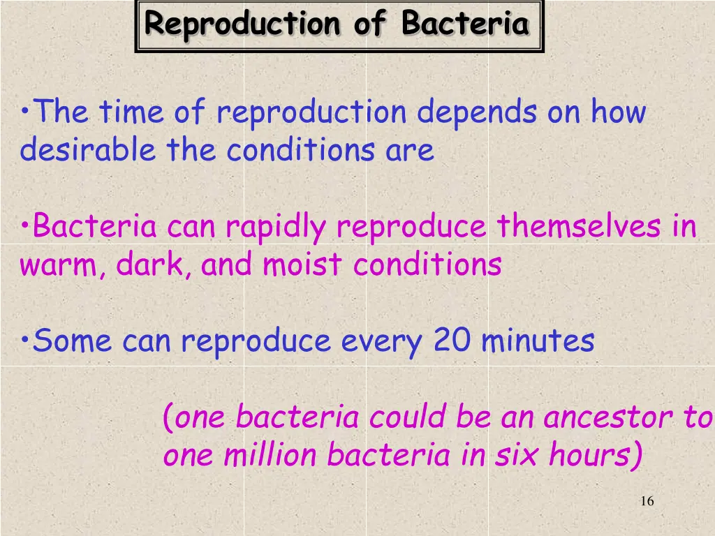 reproduction of bacteria 2