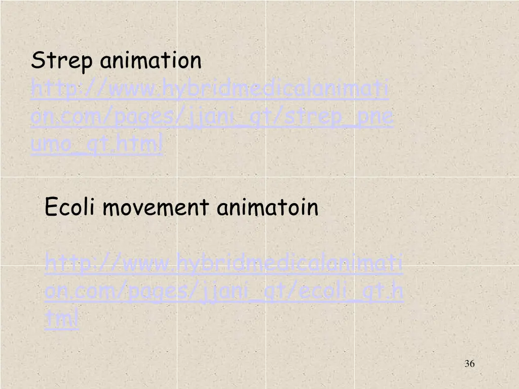 strep animation http www hybridmedicalanimati