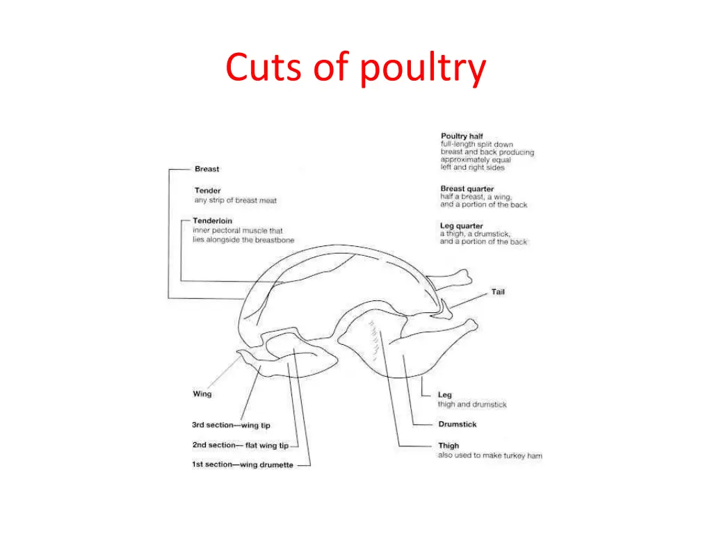 cuts of poultry