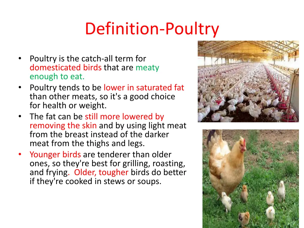 definition poultry