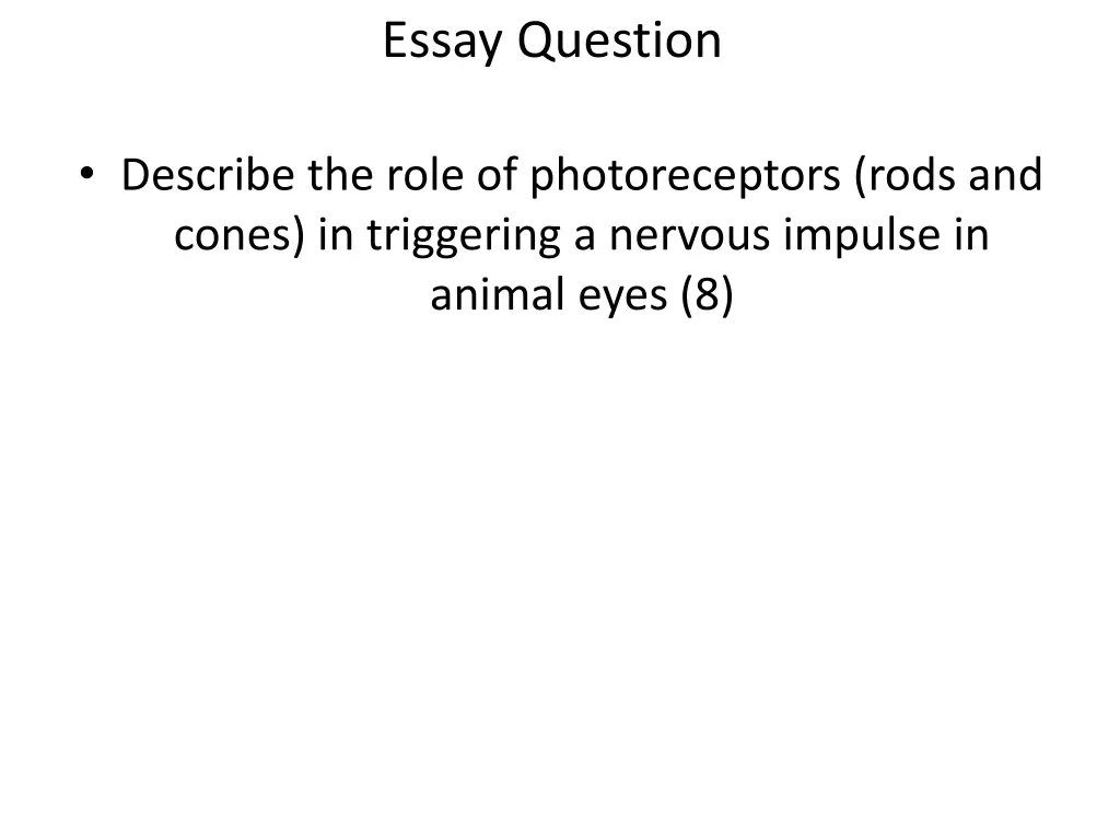 essay question