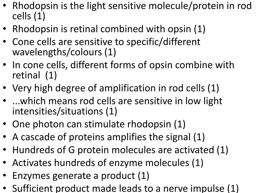 rhodopsin is the light sensitive molecule protein