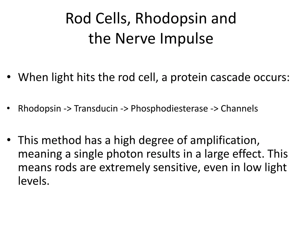 rod cells rhodopsin and the nerve impulse 2