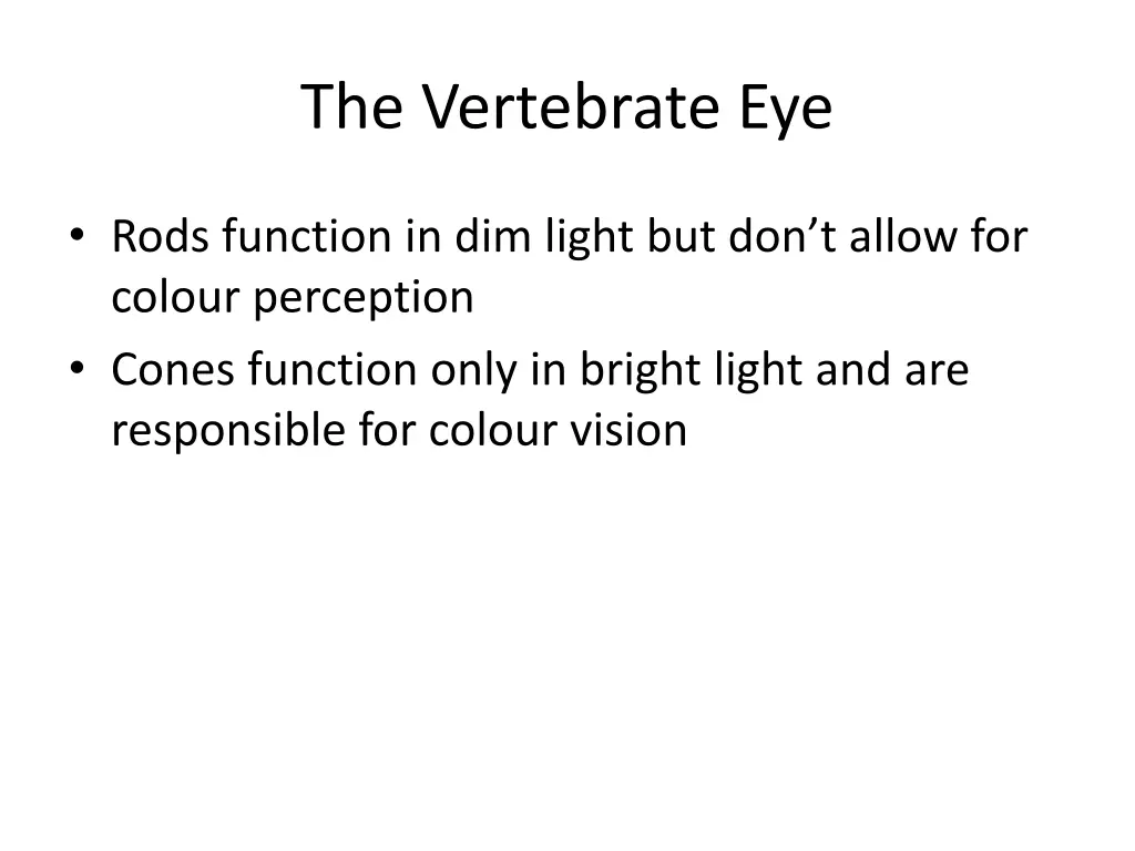 the vertebrate eye 2