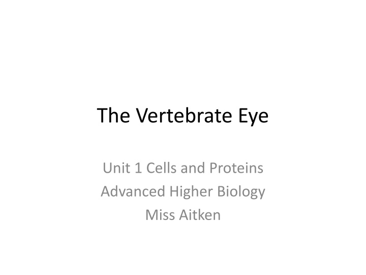 the vertebrate eye