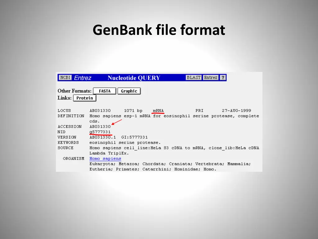 genbank file format