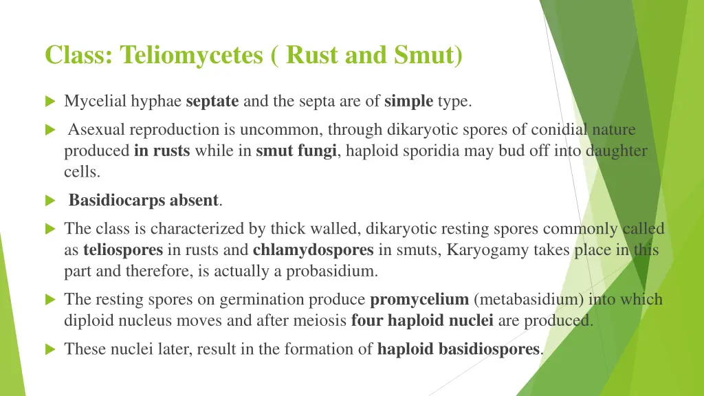 class teliomycetes rust and smut