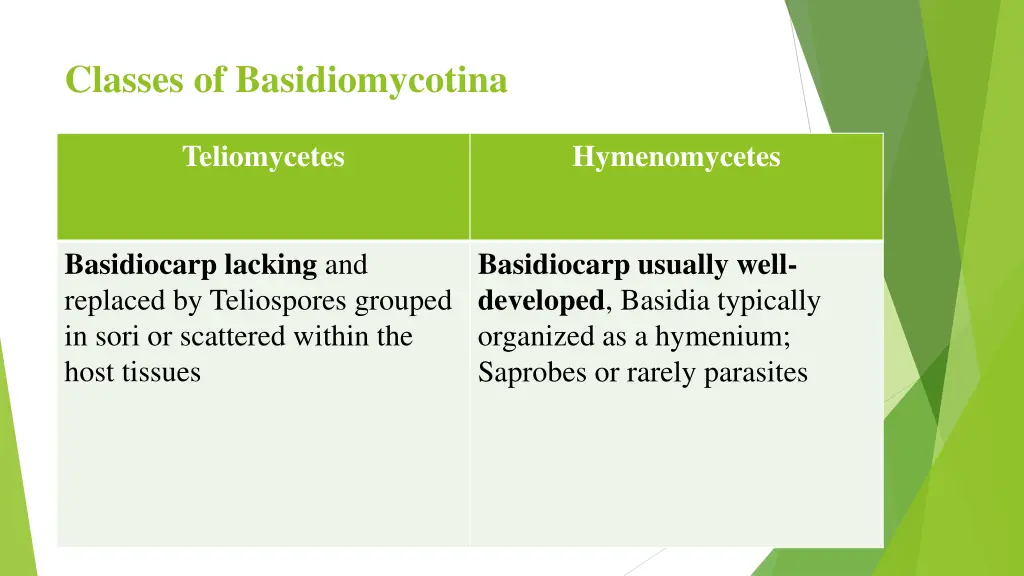 classes of basidiomycotina