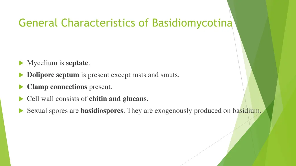 general characteristics of basidiomycotina