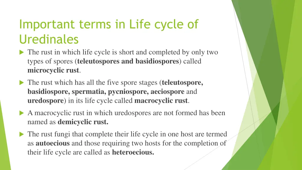 important terms in life cycle of uredinales