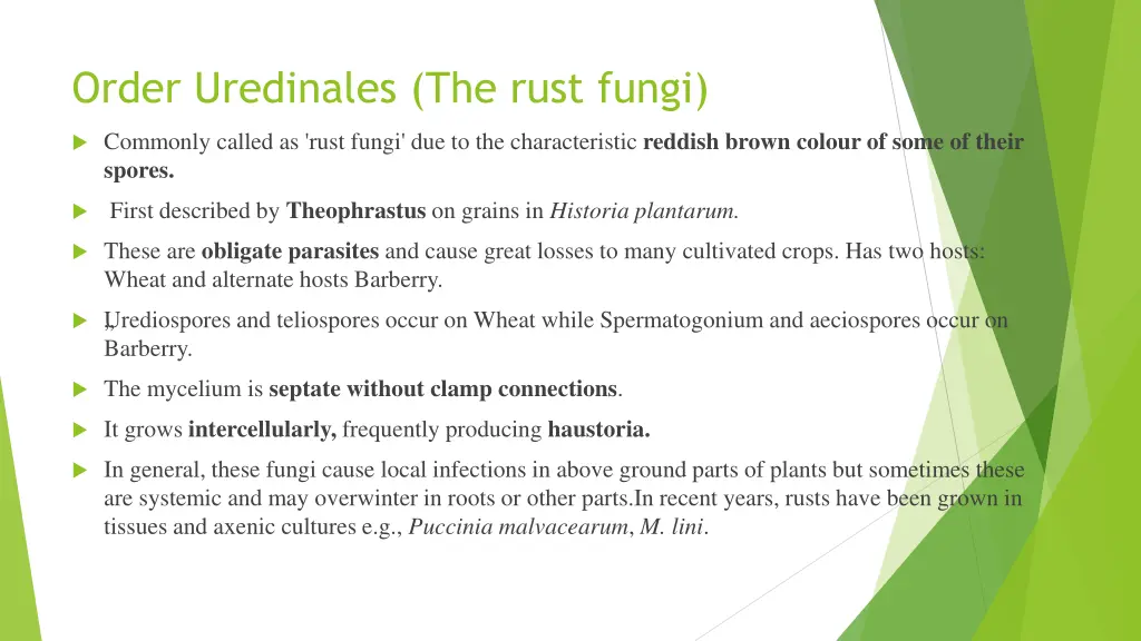 order uredinales the rust fungi