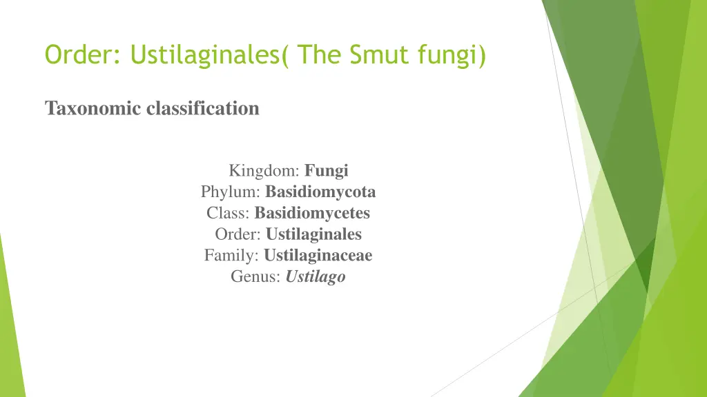 order ustilaginales the smut fungi