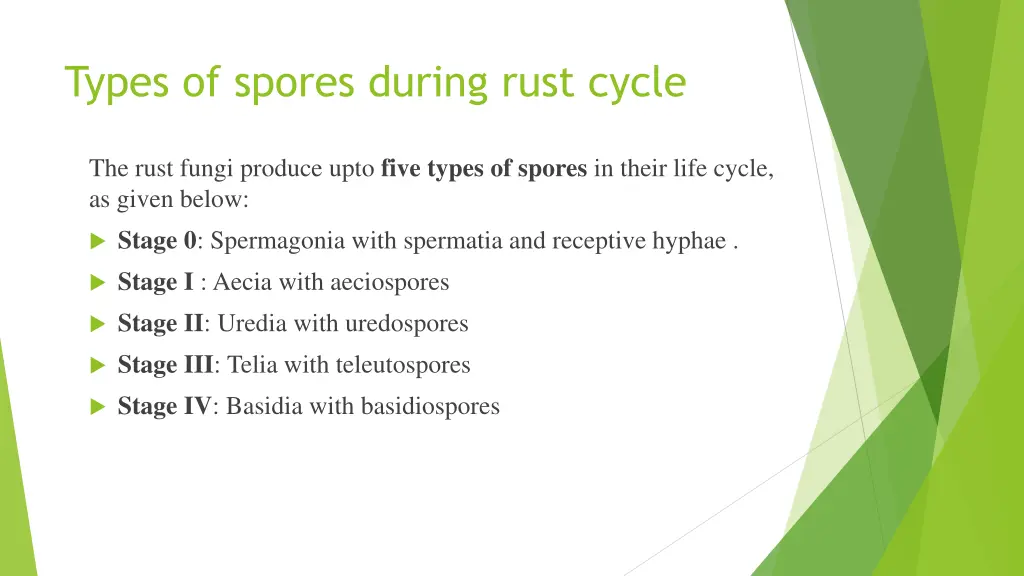 types of spores during rust cycle