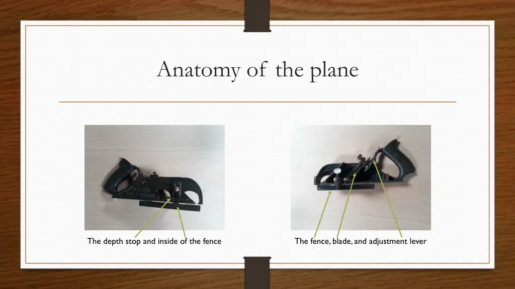 anatomy of the plane