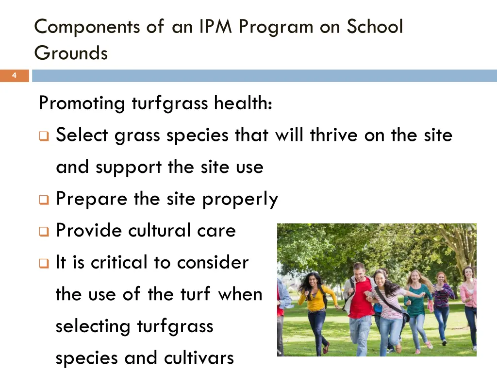 components of an ipm program on school grounds