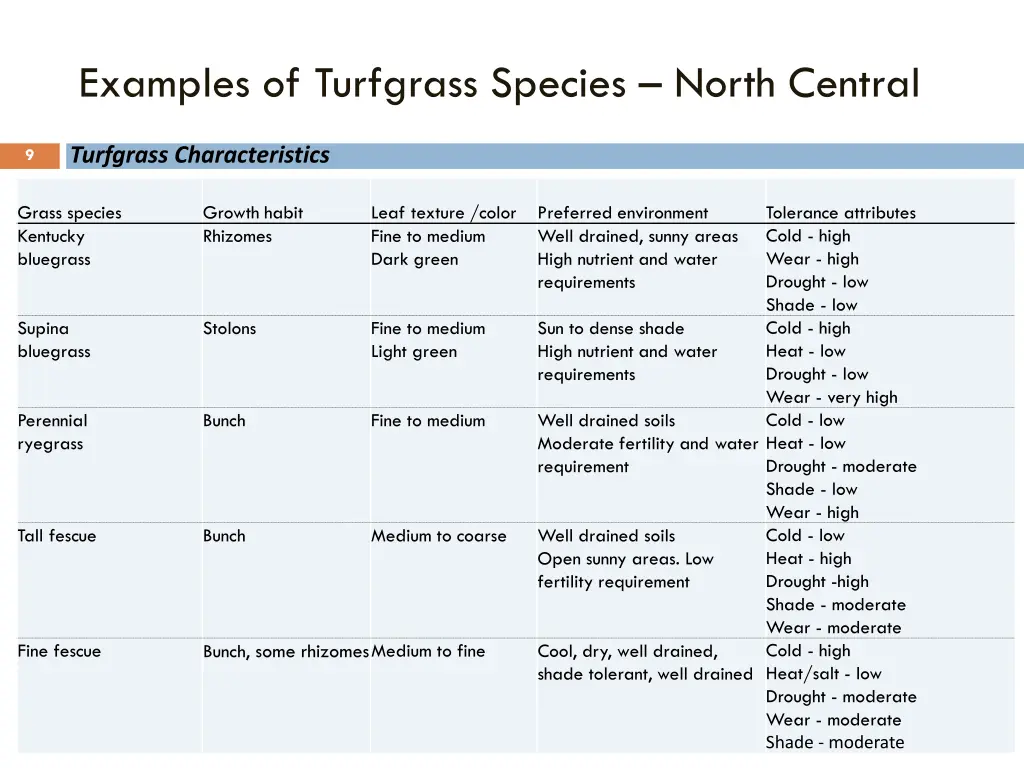 examples of turfgrass species north central