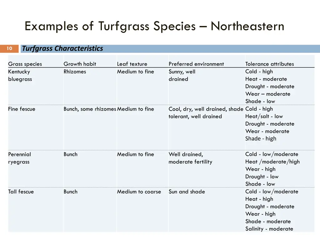 examples of turfgrass species northeastern