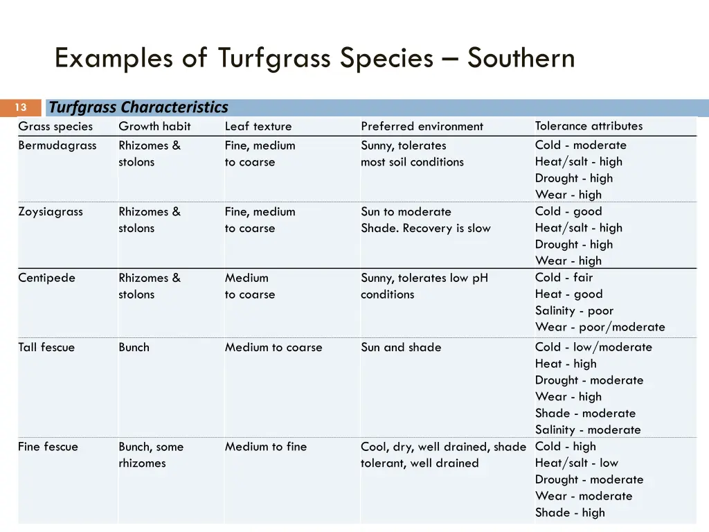 examples of turfgrass species southern