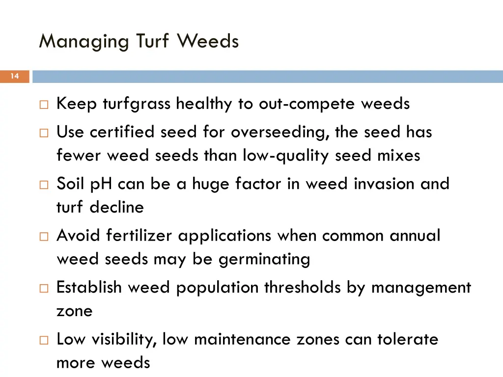 managing turf weeds