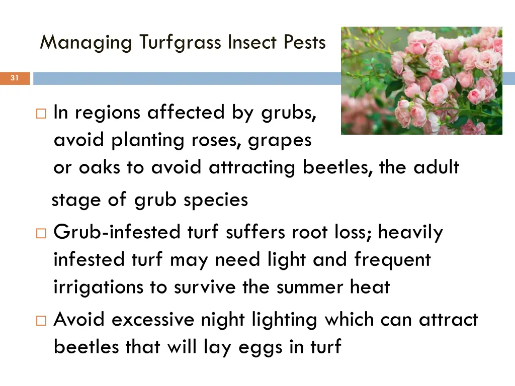 managing turfgrass insect pests 1