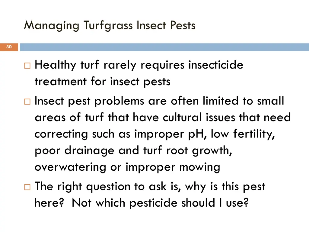 managing turfgrass insect pests