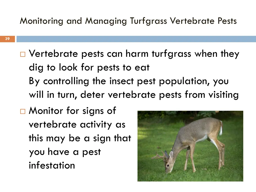 monitoring and managing turfgrass vertebrate pests