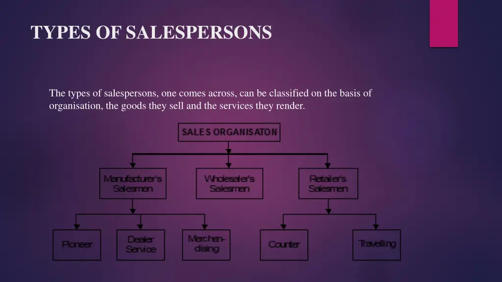 types of salespersons