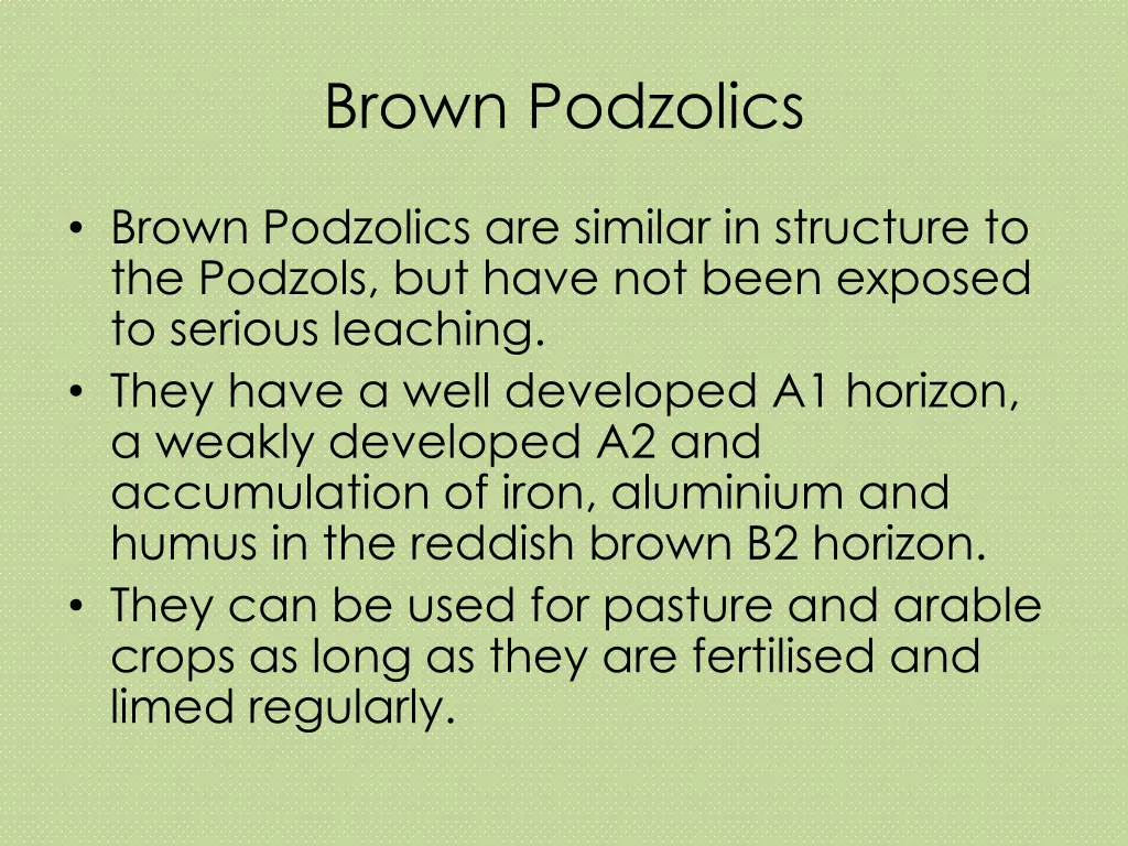 brown podzolics