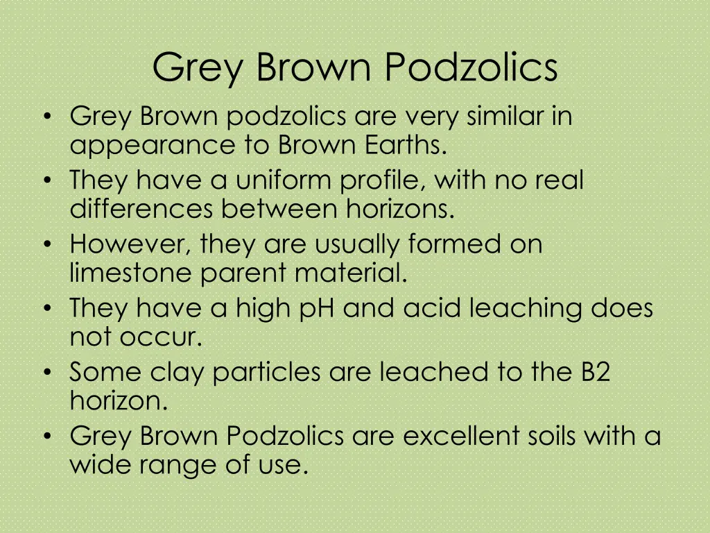 grey brown podzolics grey brown podzolics