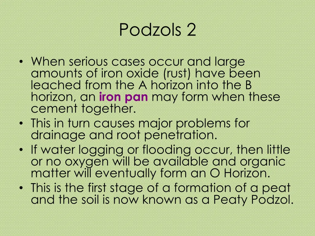 podzols 2