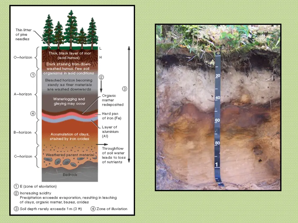 today s earth science picture of the day