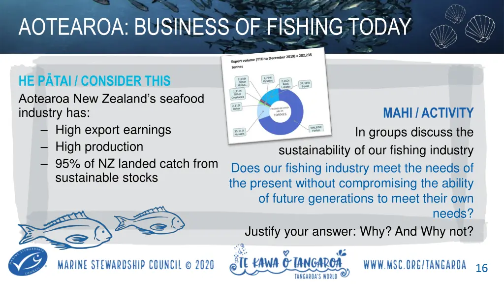 aotearoa business of fishing today 1