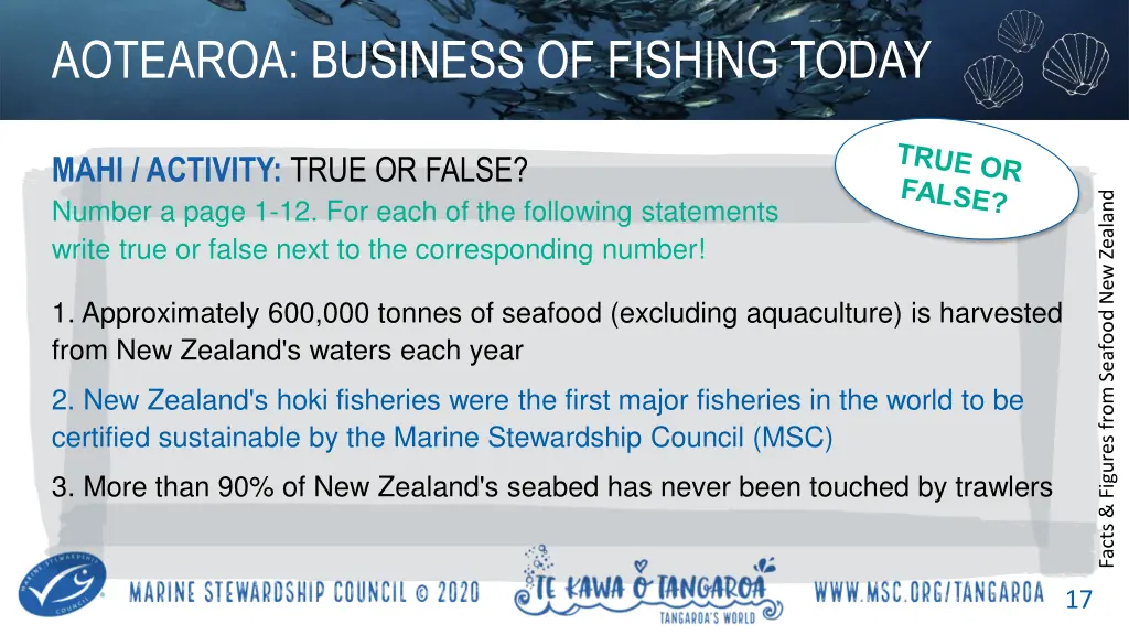 aotearoa business of fishing today 2