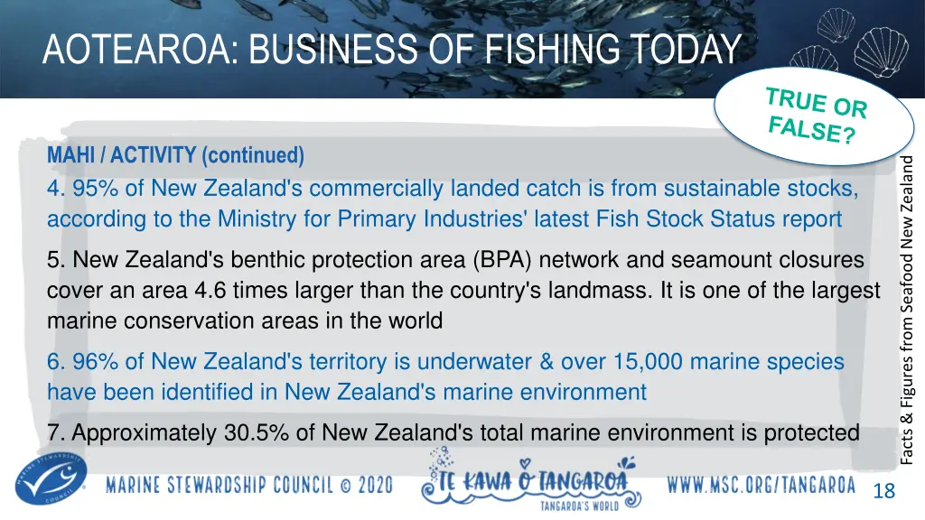 aotearoa business of fishing today 3