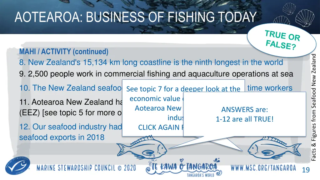 aotearoa business of fishing today 4