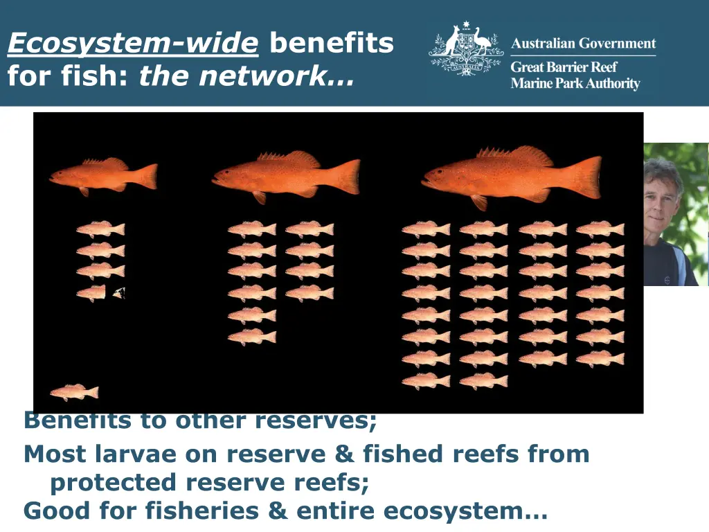 ecosystem wide benefits for fish the network