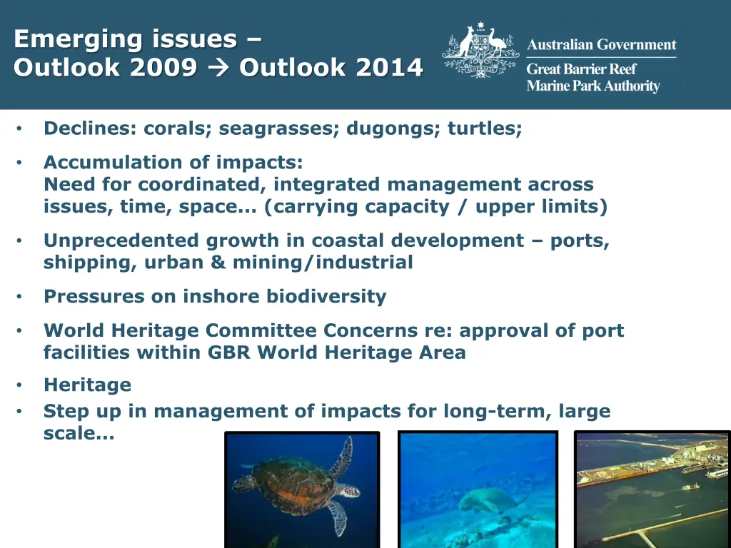 emerging issues outlook 2009