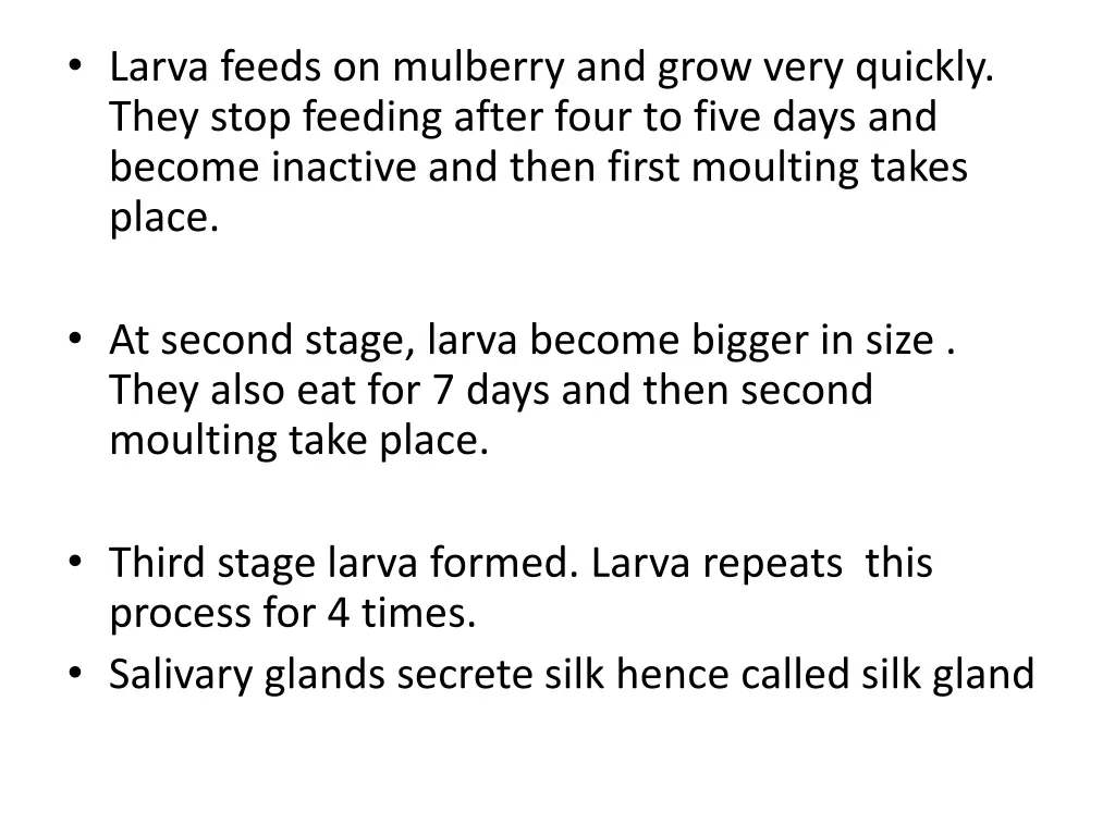 larva feeds on mulberry and grow very quickly