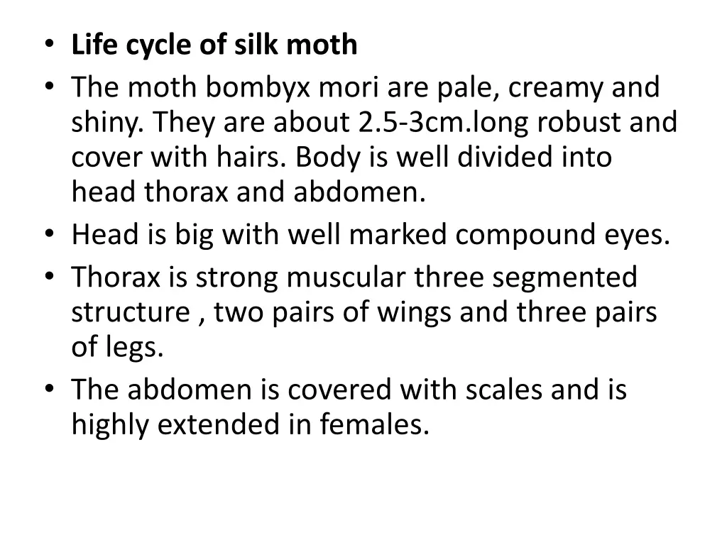 life cycle of silk moth the moth bombyx mori