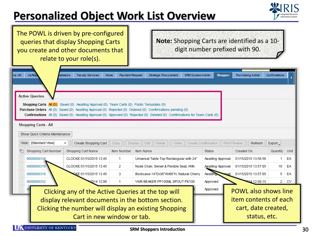 personalized object work list overview