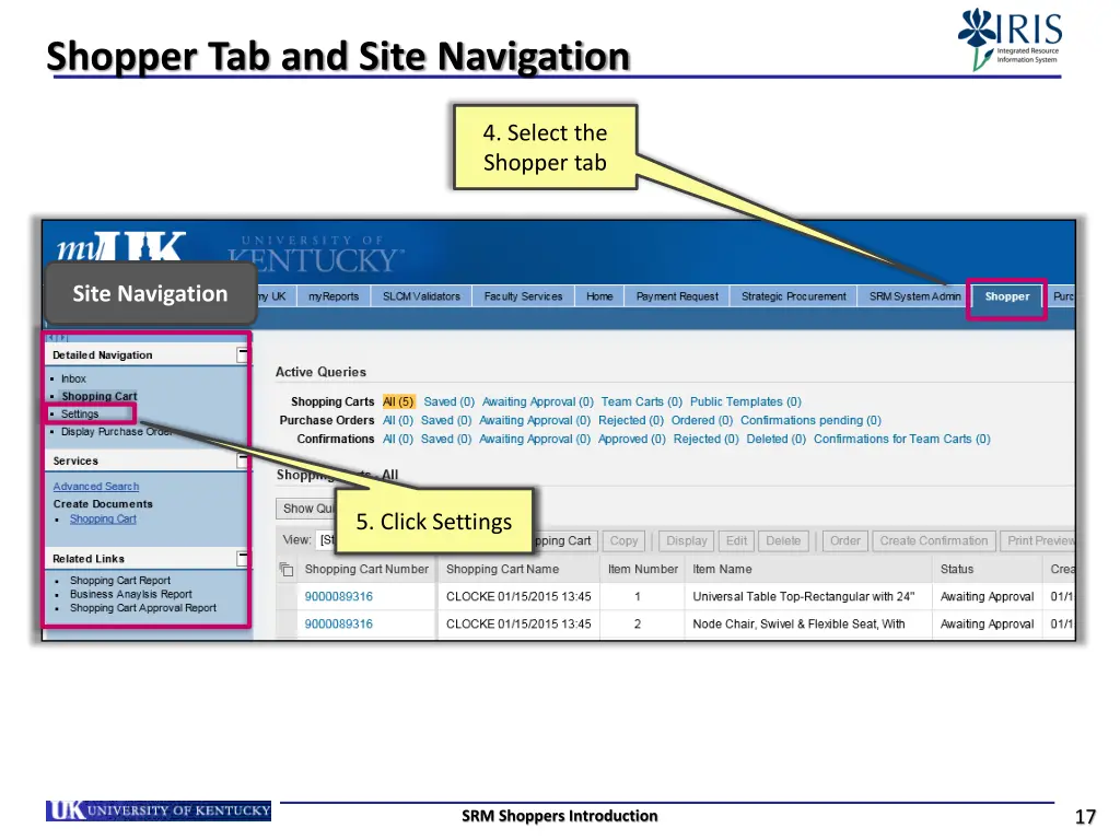 shopper tab and site navigation