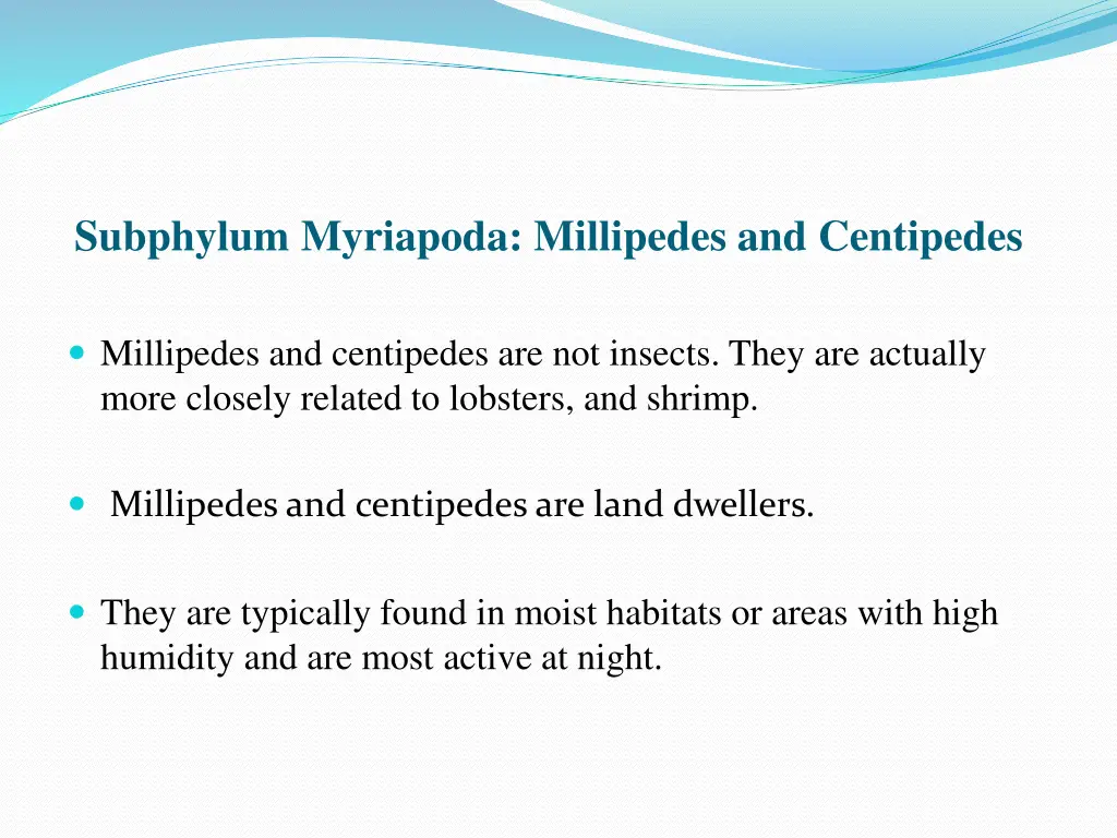 subphylum myriapoda millipedes and centipedes